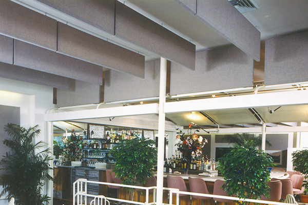 HardSide Acoustical Ceiling Baffles